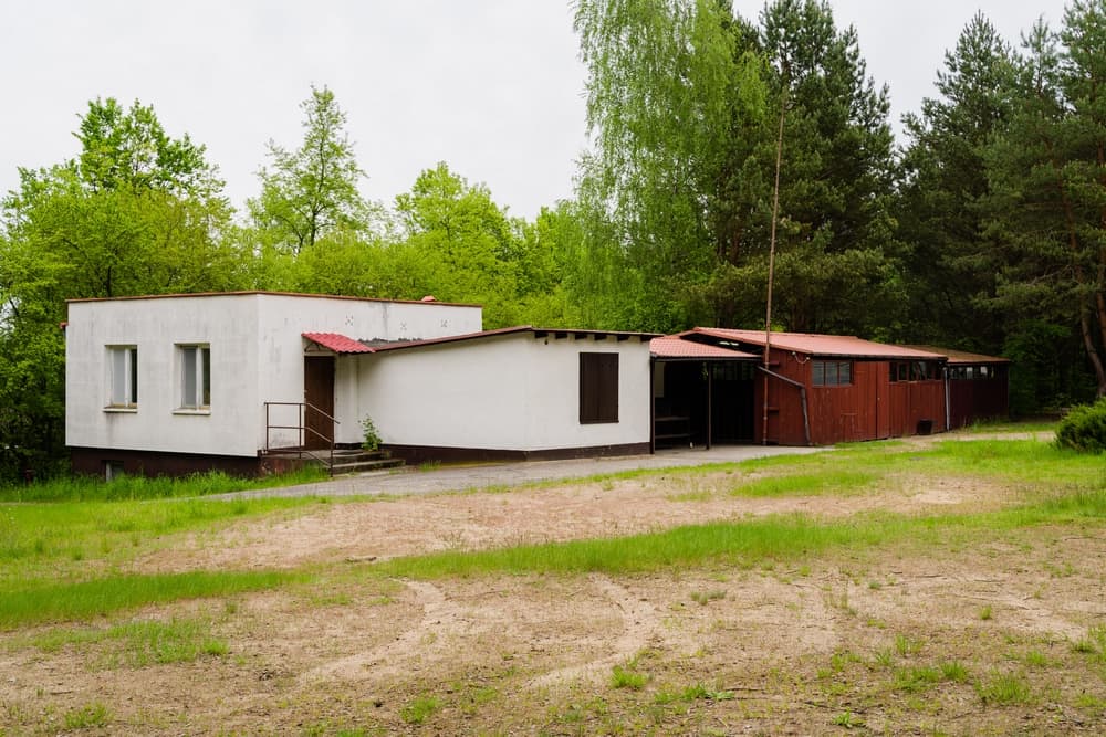 Harcerski Ośrodek Wypoczynkowy Ciche – otoczenie lasu